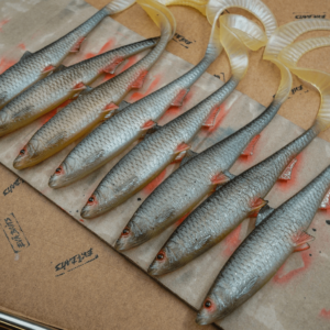 Roach Curly Tail 28cm