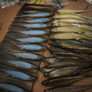 Bleak Spike Tail 15cm