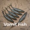 vomit fish