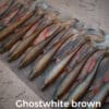 GhostWhite/Brown