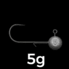 5g