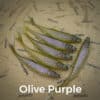 Olive/Purple
