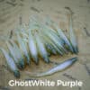 GhostWhite/Purple