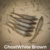 GhostWhite/Brown