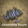 GhostWhite/Purple