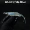 ghostwhite blue