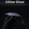 Glitter/Silver