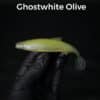GhostWhite/Olive