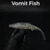 vomit fish