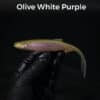 olive white purple