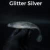 Glitter/Silver