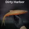 Dirty/Harbor