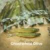 GhostWhite/Olive