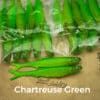 Chartreuse/Green