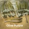 Olive/Purple