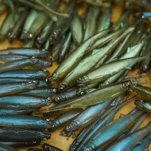 Bleak Spike Tail 8cm