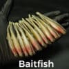 Baitfish