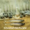 GhostWhite/Purple