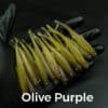 Olive/Purple