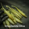 GhostWhite/Olive