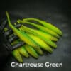 Chartreuse/Green