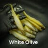White Olive