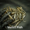 vomit fish