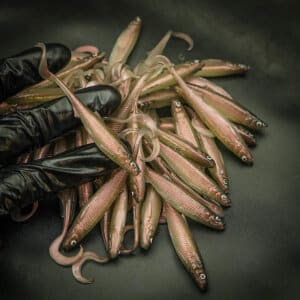 Smelt Curly Tail 8cm