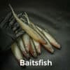 Baitfish