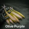 Olive/Purple