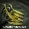 GhostWhite/Olive