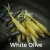 Olive White