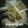 vomit fish