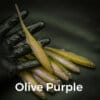 Olive/Purple