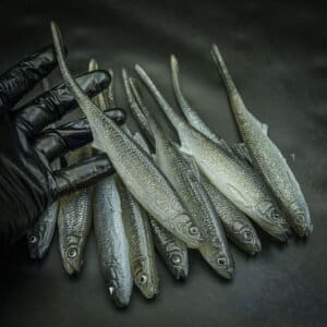 Bleak Spike Tail 20cm