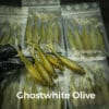 GhostWhite/Olive