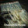 GhostWhite/Purple