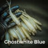 GhostWhite-blue