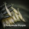 GhostWhite/Purple