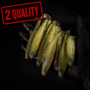 2 Laadun Bleak Paddle Tail 15cm