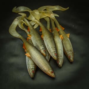 Roach Curly Tail 28cm