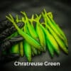 Chartreuse/Green
