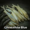 ghostwhite blue