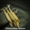 GhostWhite/Brown