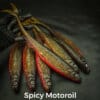 Spicy Motor Oil