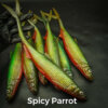 Spicy Parrot