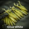 Olive White