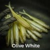 Olive White