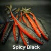 Spicy Black