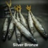 Silver Bronze
